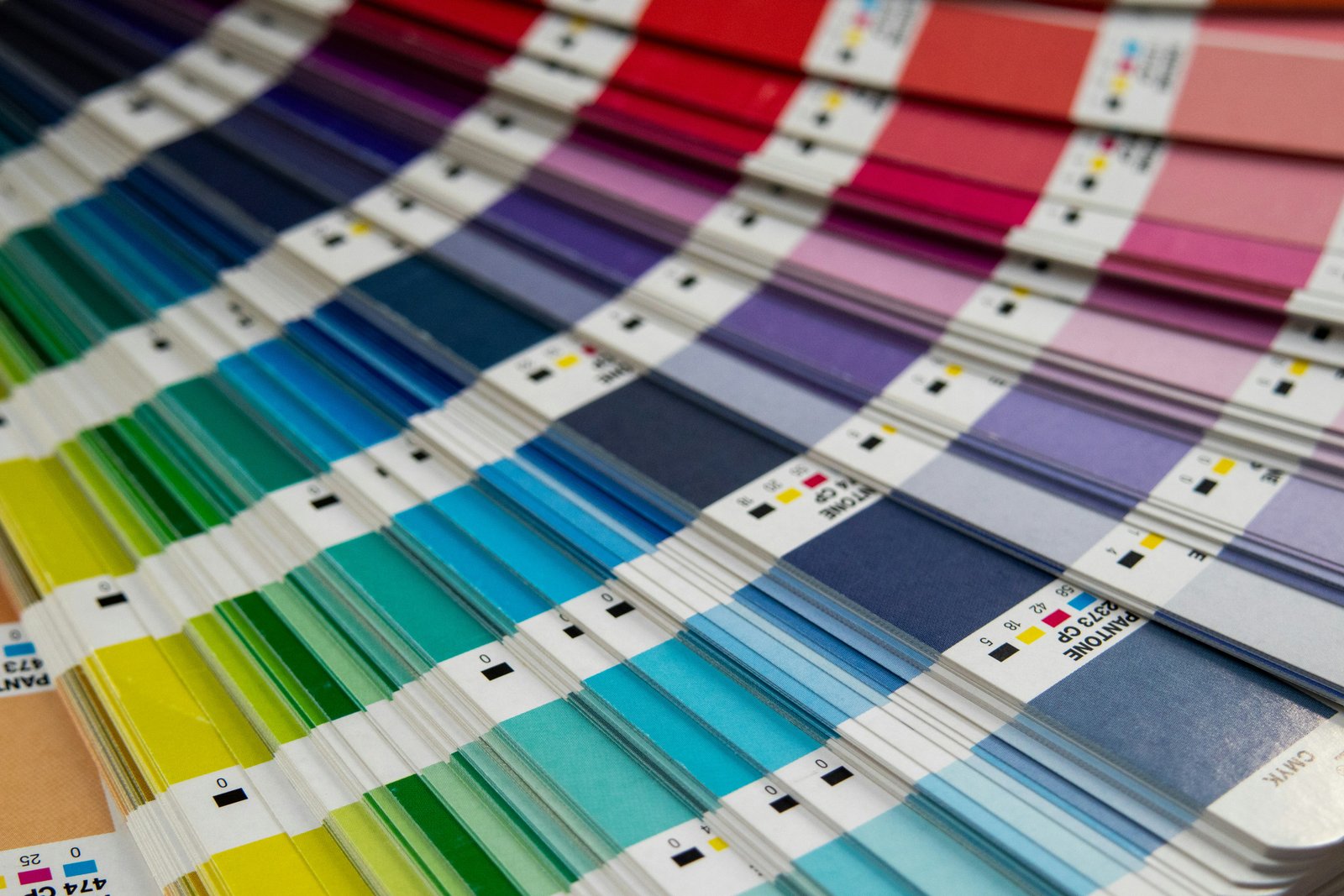 Color Systems in Tech: How Scalable Design Keeps Products Consistent